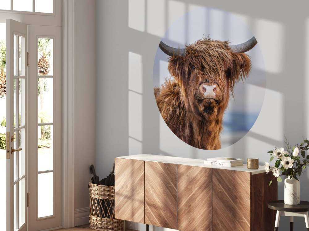 Staring Scottish Highlander