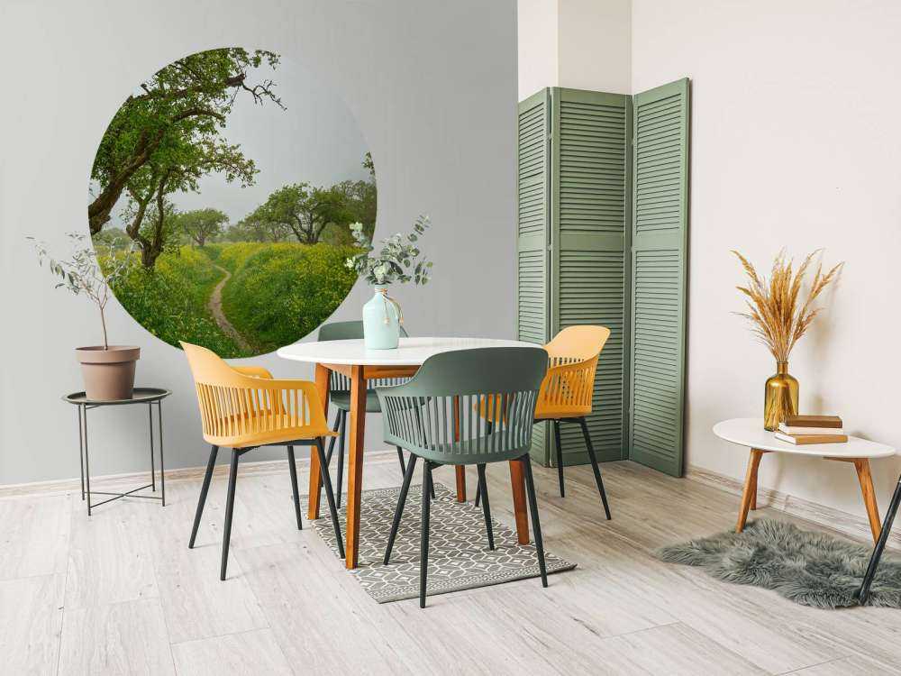 Path through hills with yellow flowers