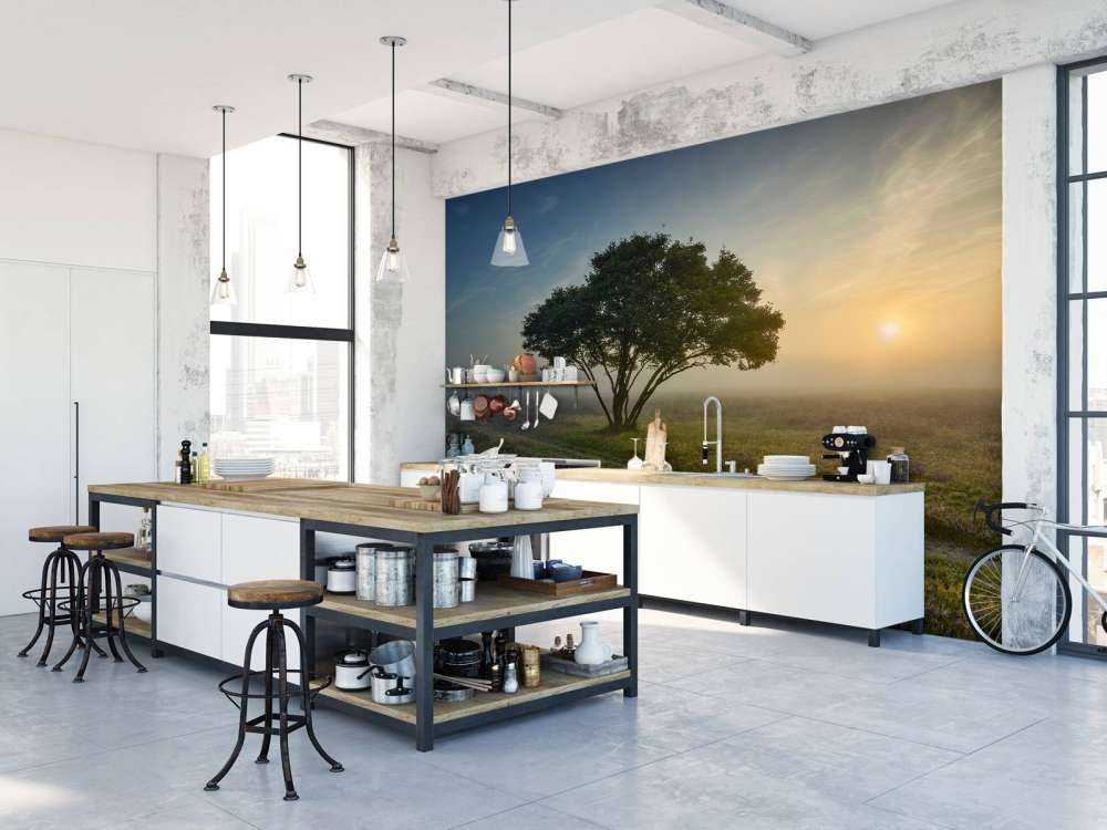 Sunrise on the heath