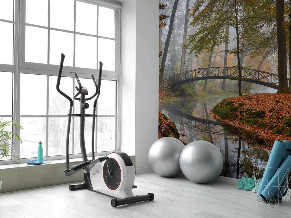 Bridge in the autumn forest