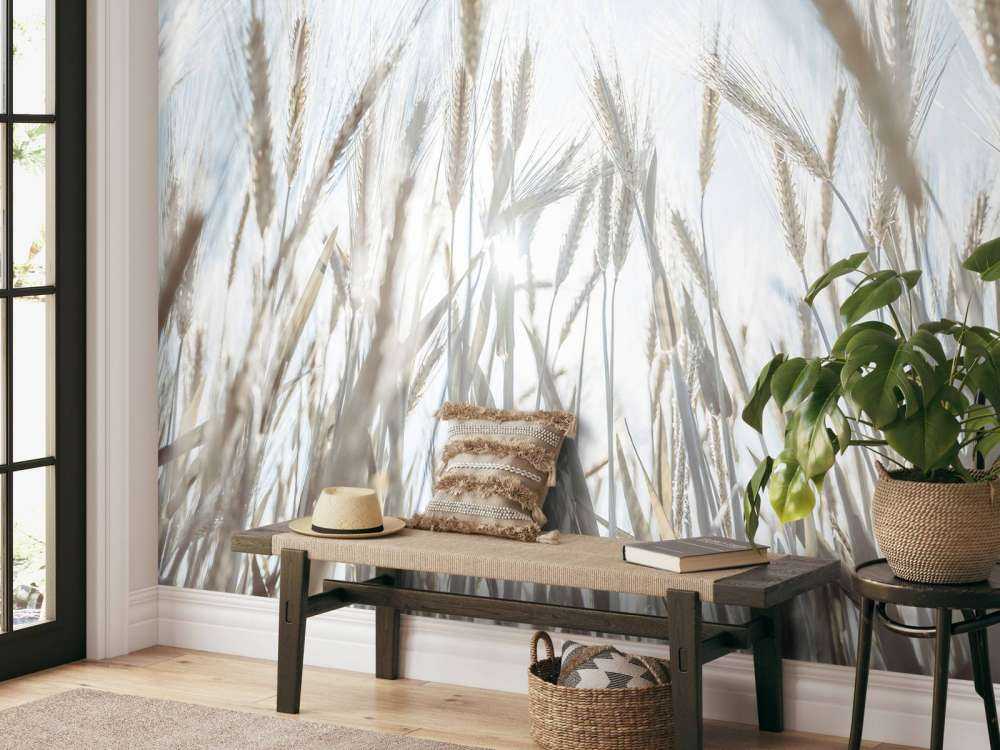 Sunbeams through the grain