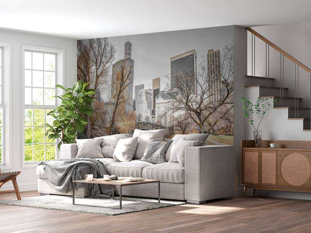 Central park in winter