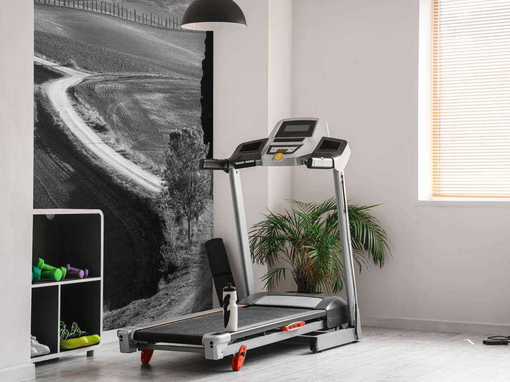 Morning in the field