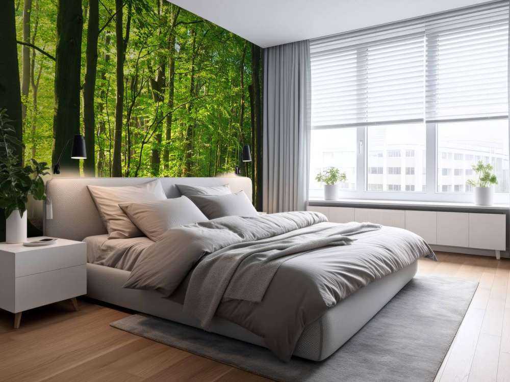 Sunny road through a forest