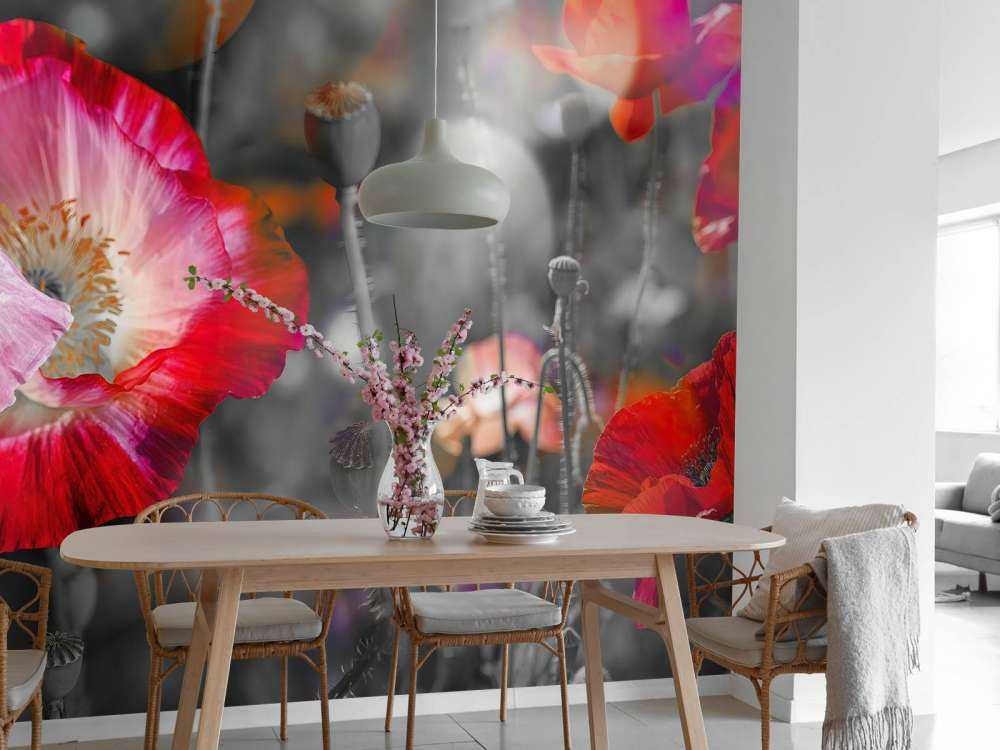 Poppies in black, white, red