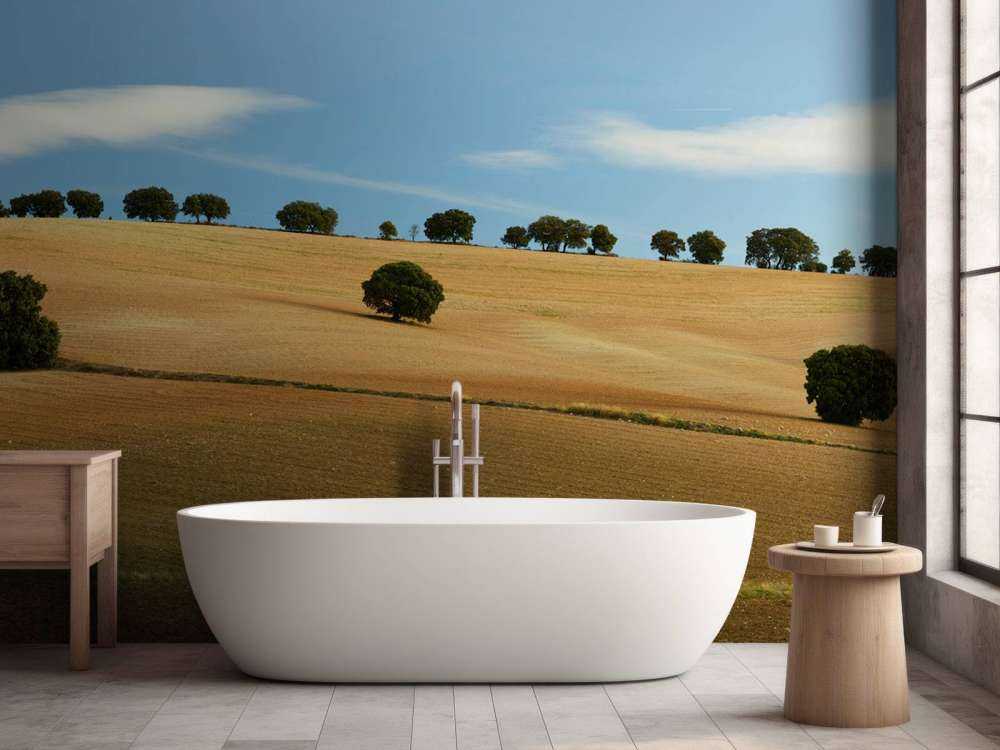 Trees in Spanish landscape