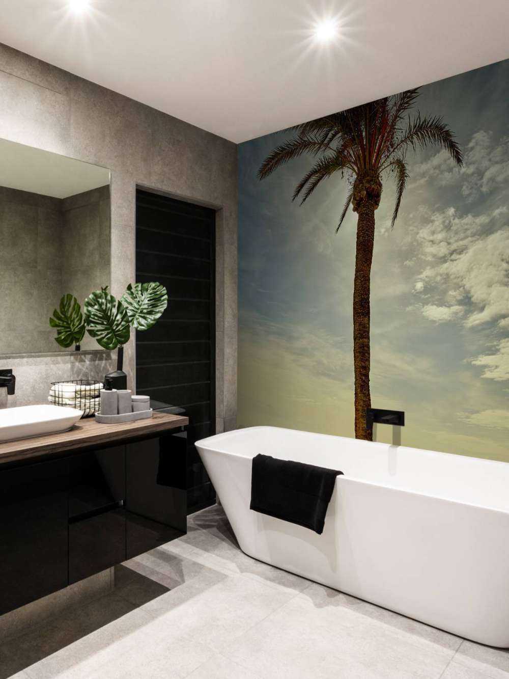 Palm tree in the sun