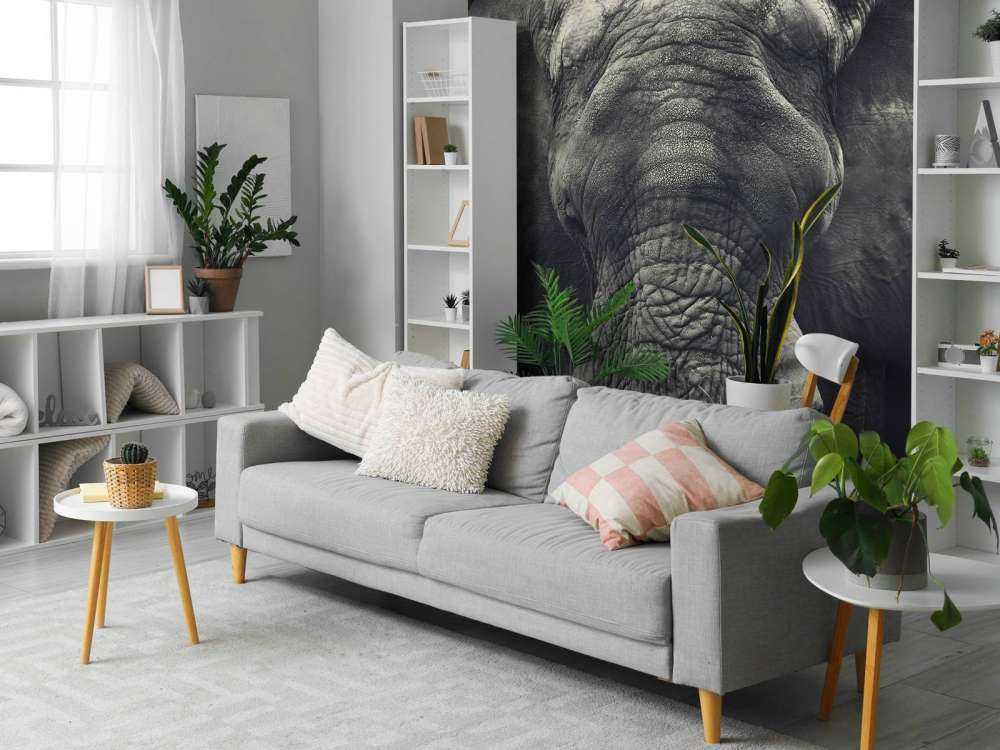 Close-up of an elephant