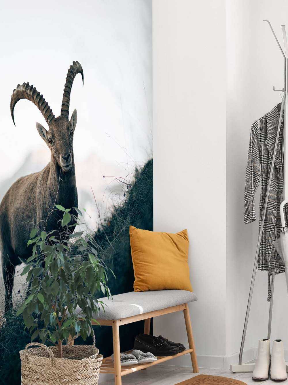 Capricorn in the mountains