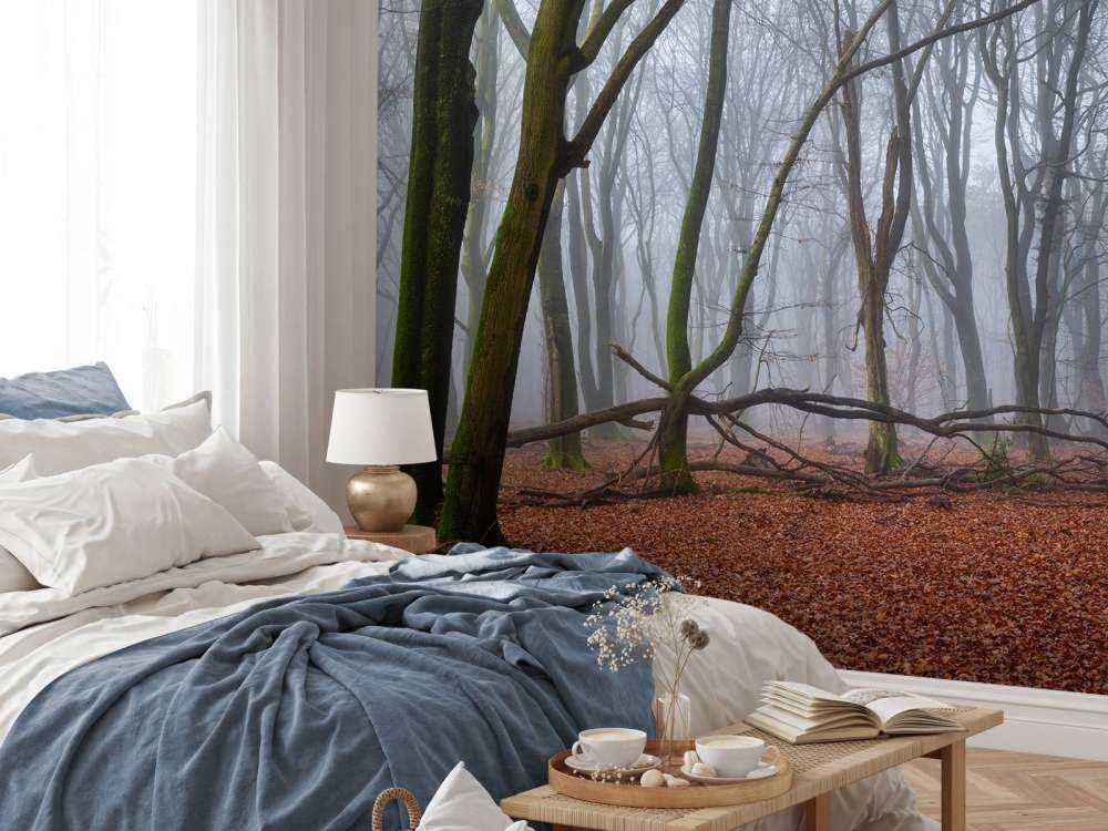 Mysterious misty forest