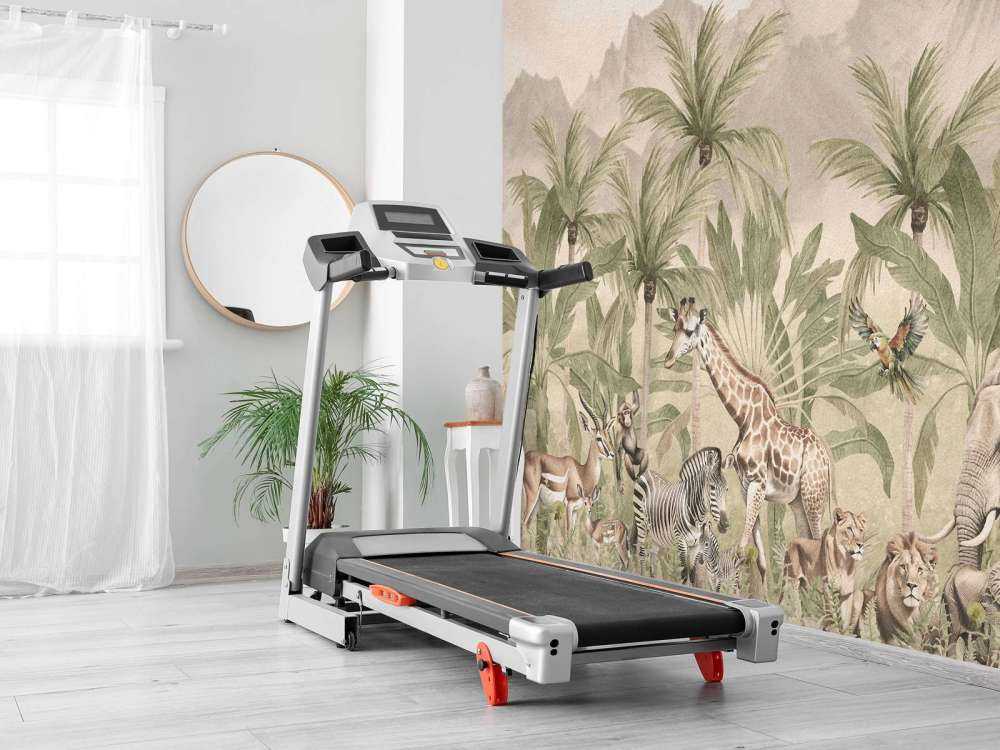 Mountain scenery with animals