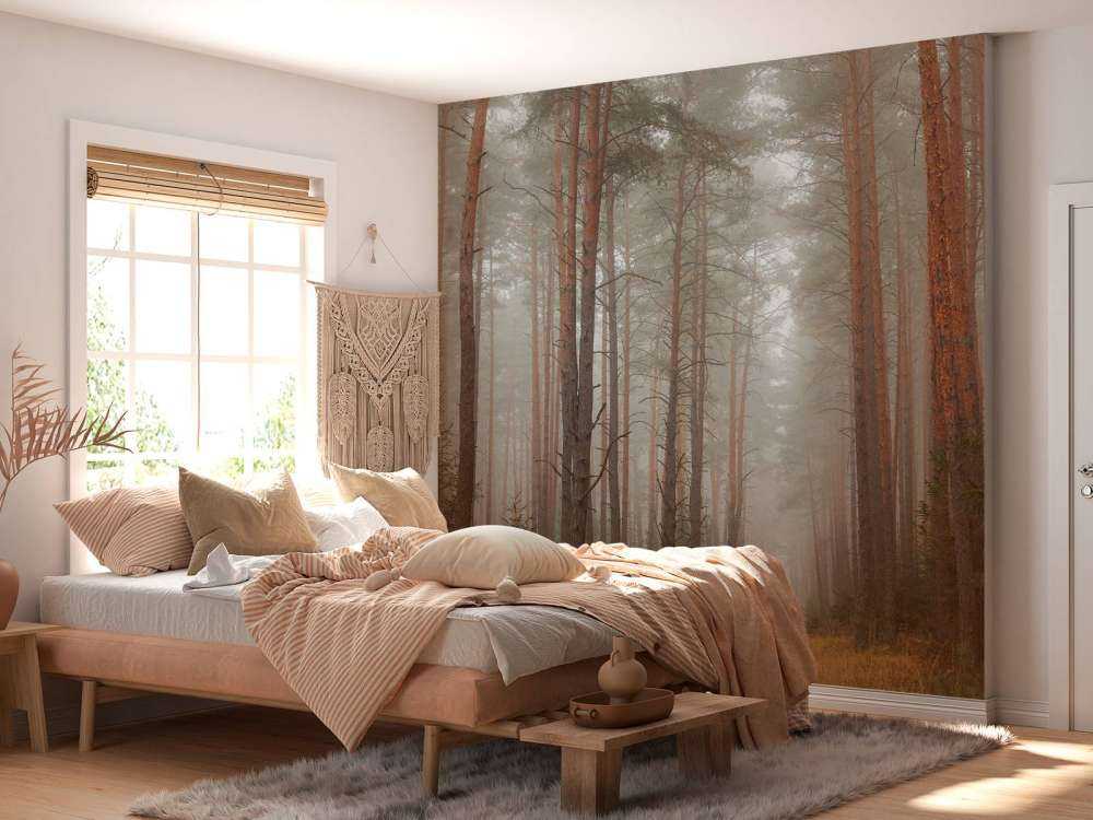 The forest mystery