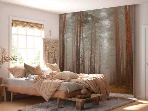 The forest mystery