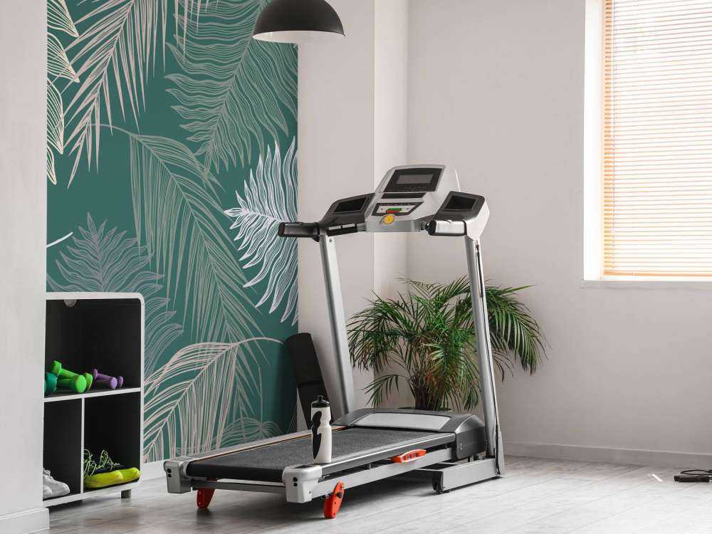 Palm leaf on green background