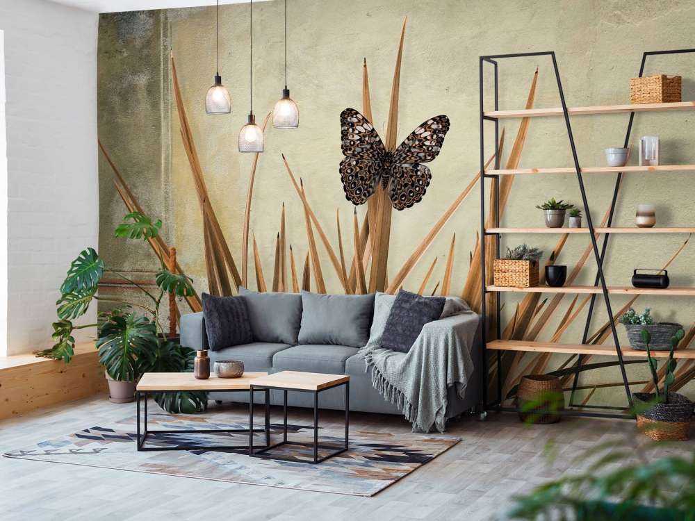 Butterfly near old wall