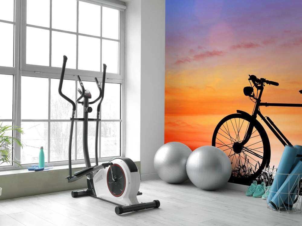 Vintage bike at sunset