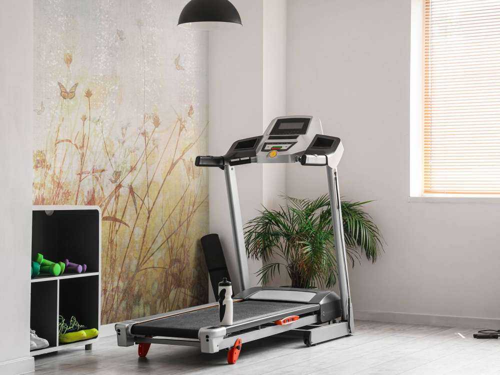 Butterflies and flowers