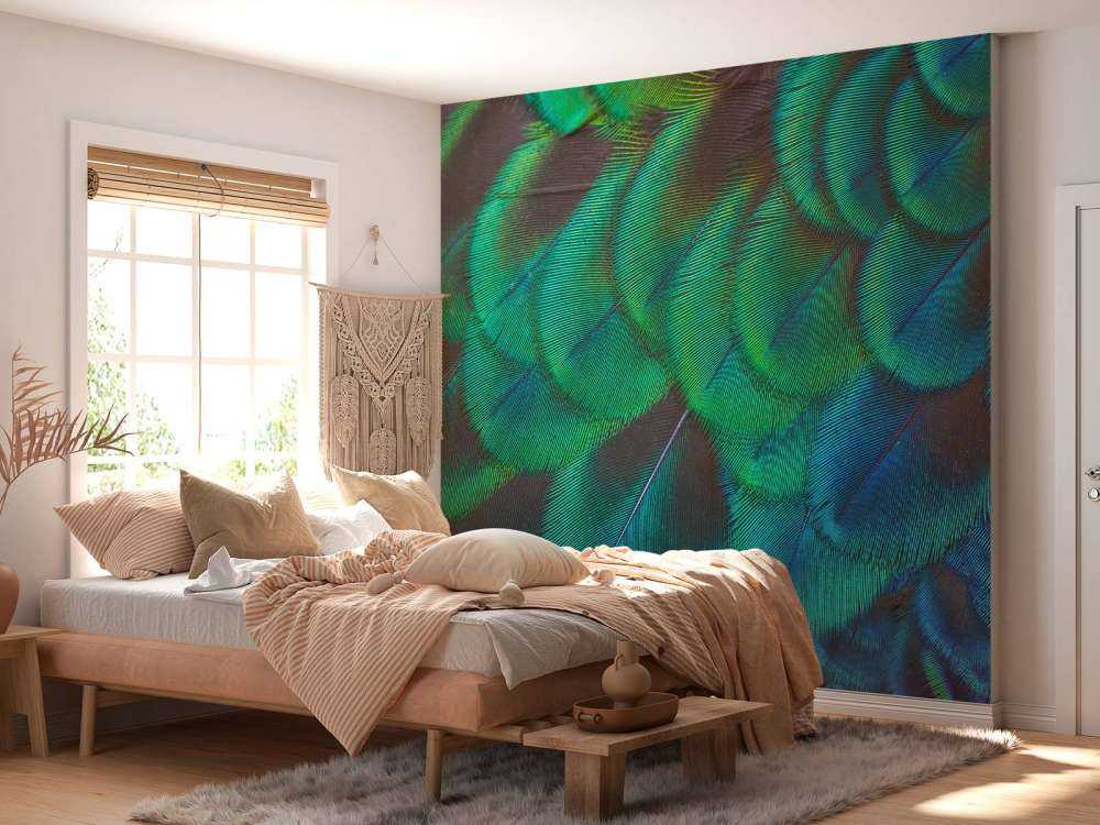 Close-up of peacock feathers