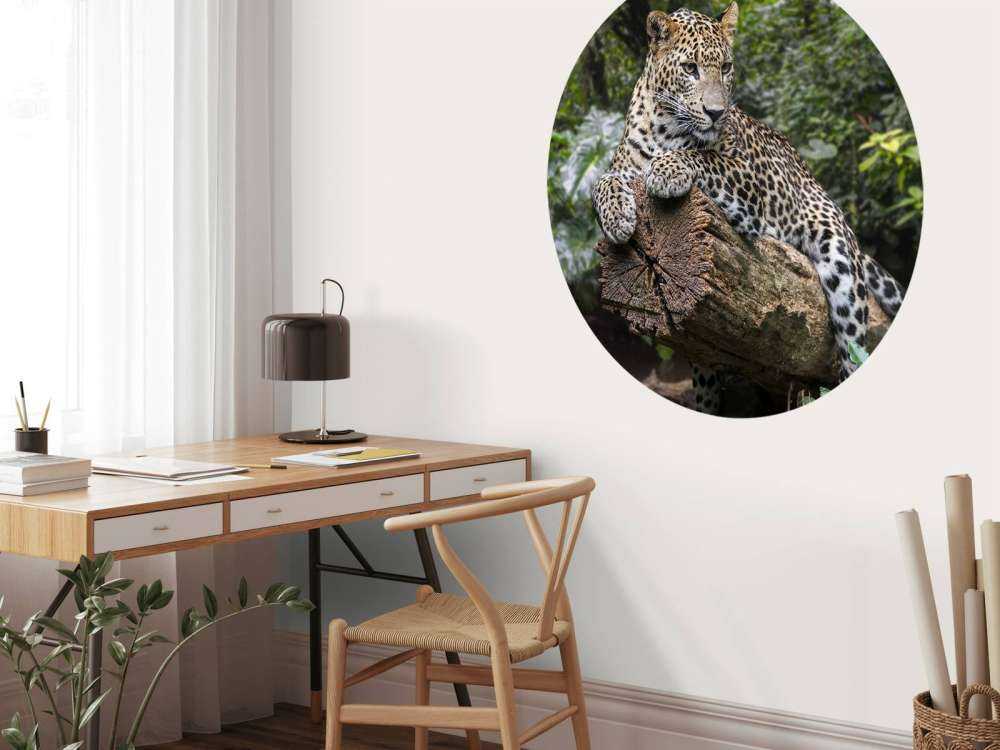 Leopard on tree