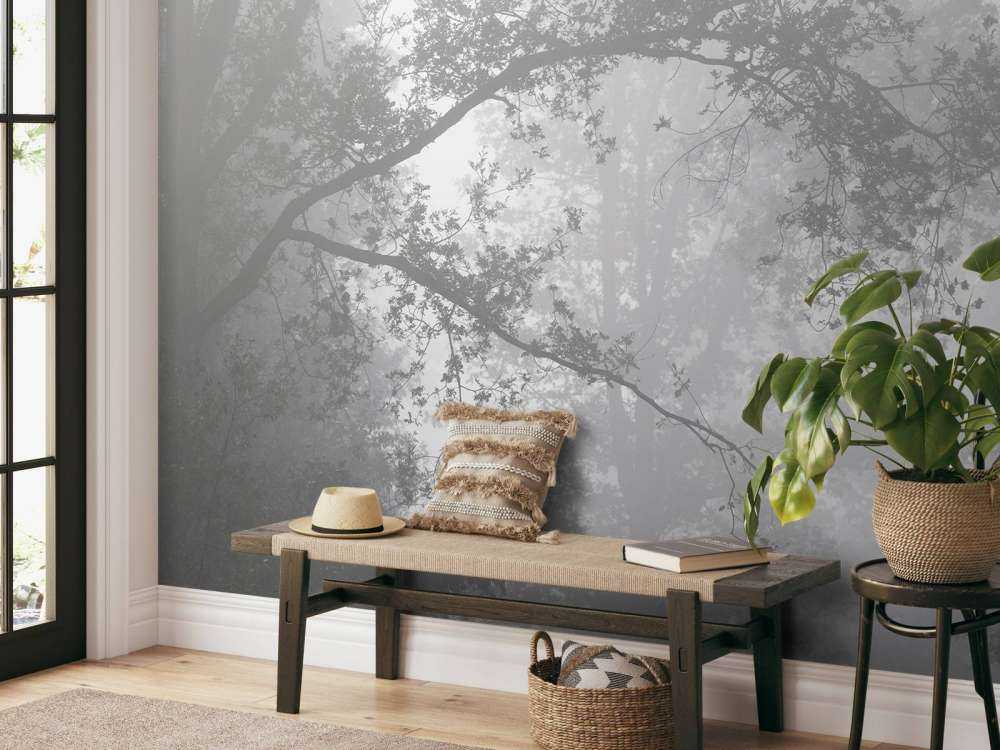 Beautiful forest in the fog