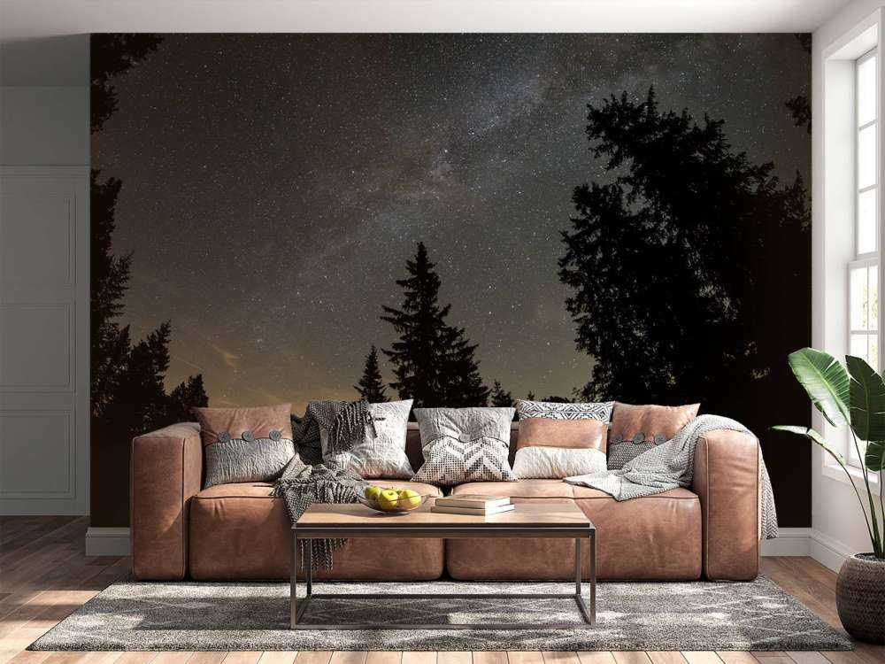 Sky full of stars