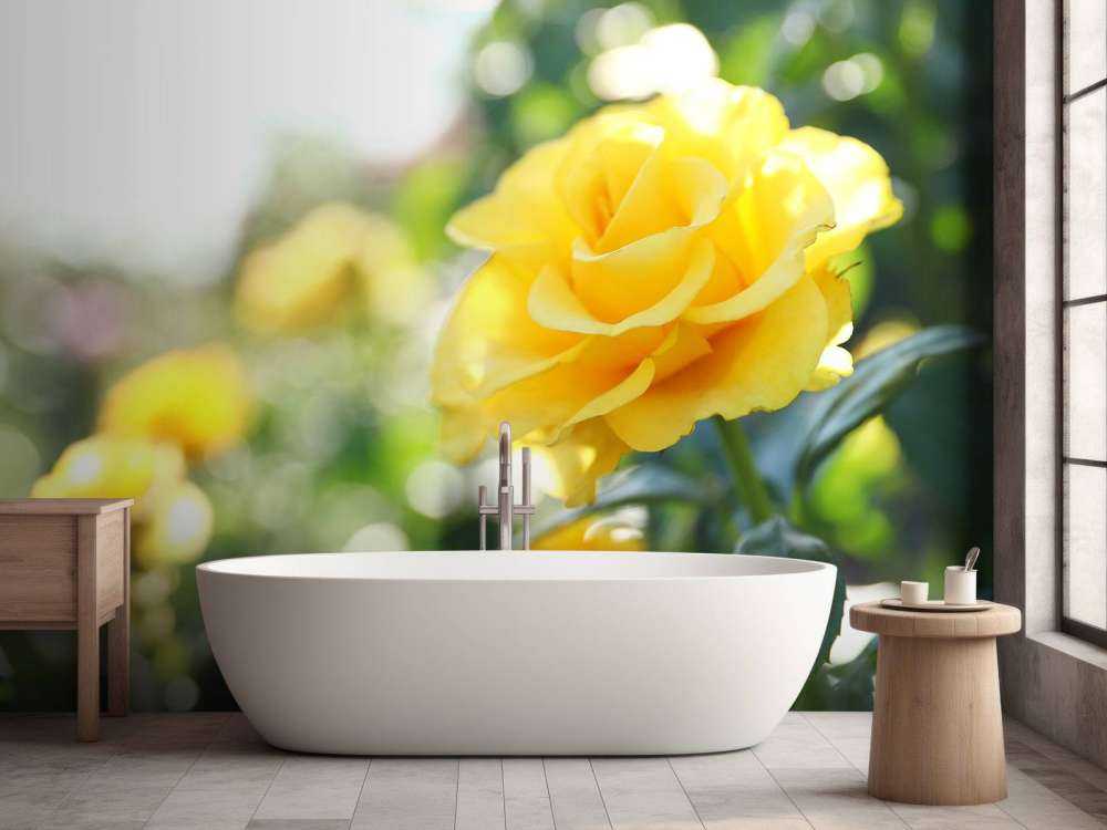 Yellow roses