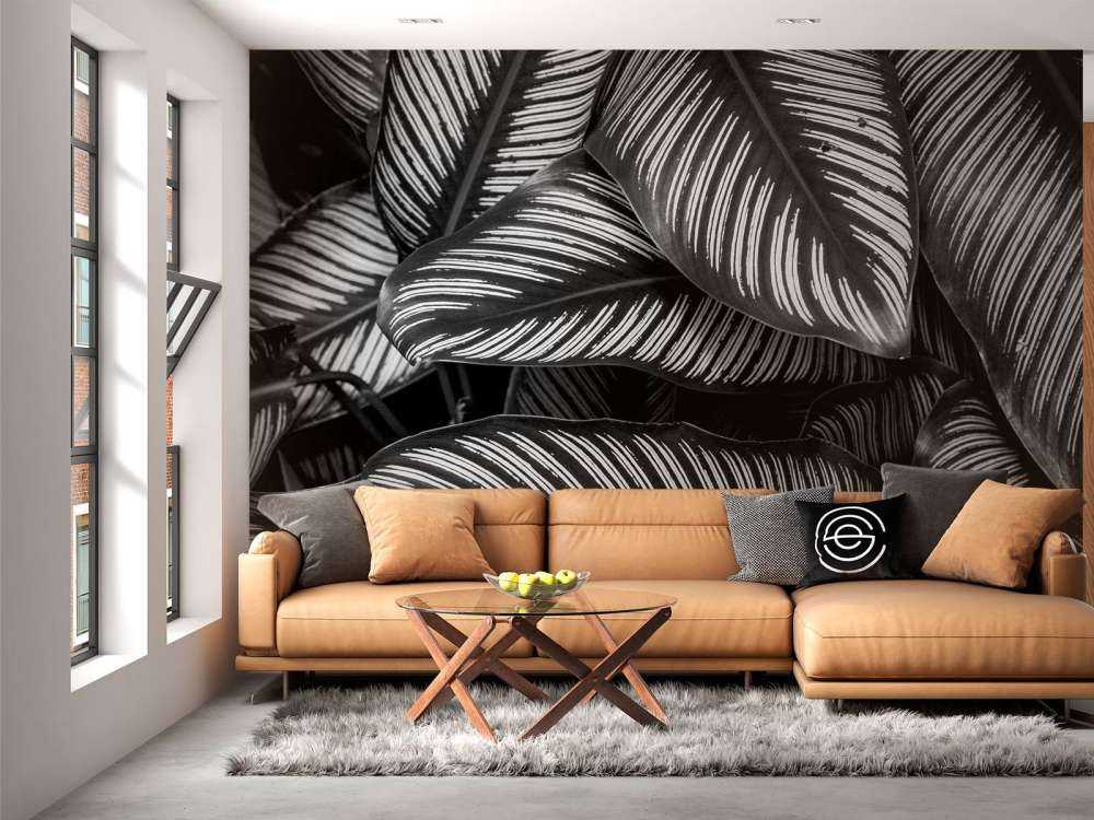 Black and white palm leaves