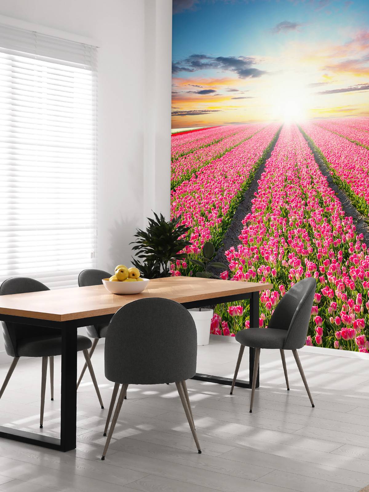 Tulips with rising sun