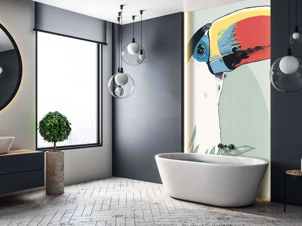 Coloured&#x20;toucan