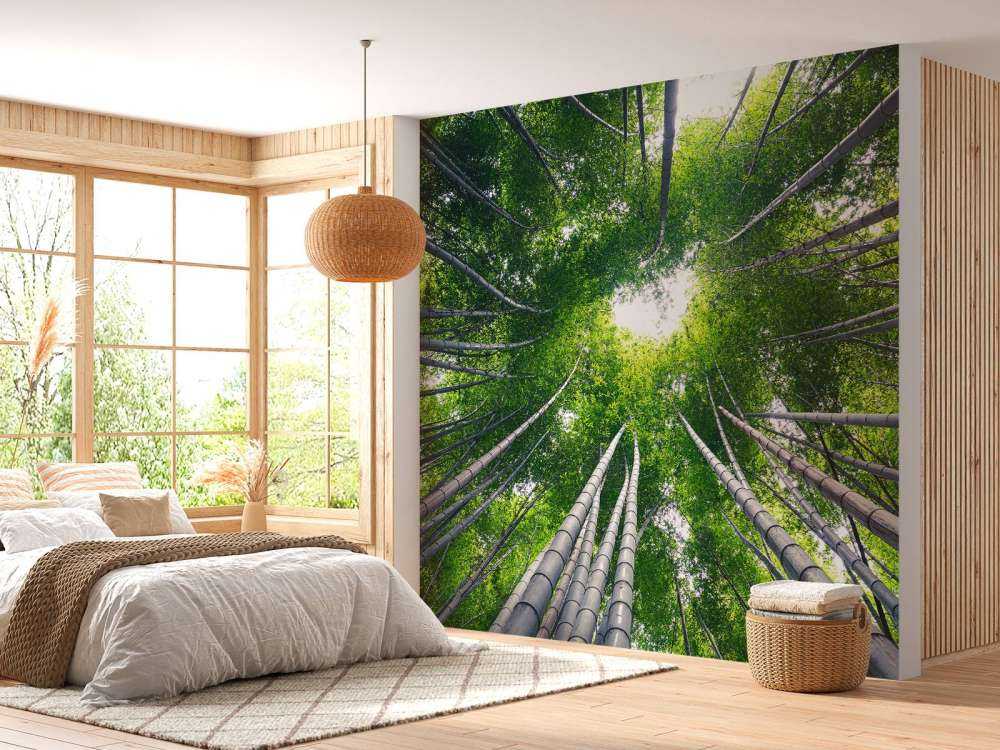 Forest with bamboo