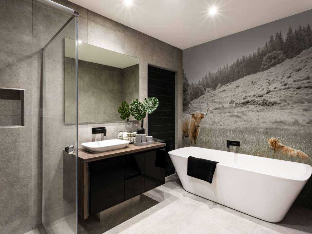 Scottish Highlander with calf