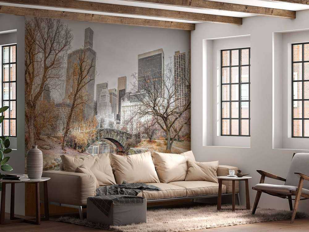 Central park in winter