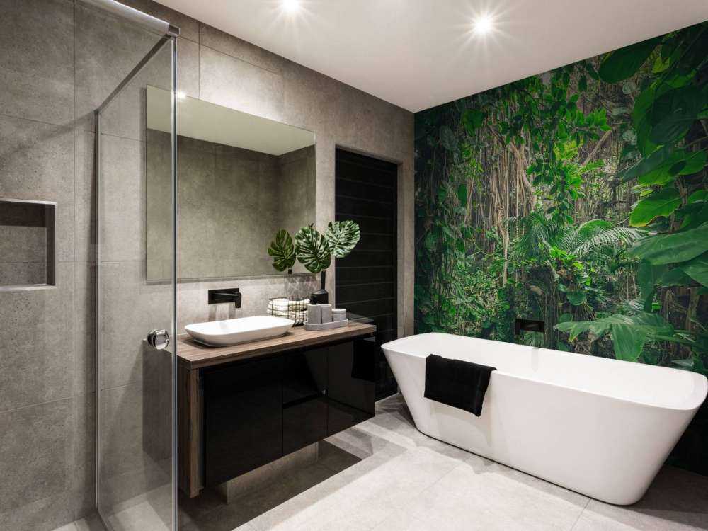 Branches in the rainforest