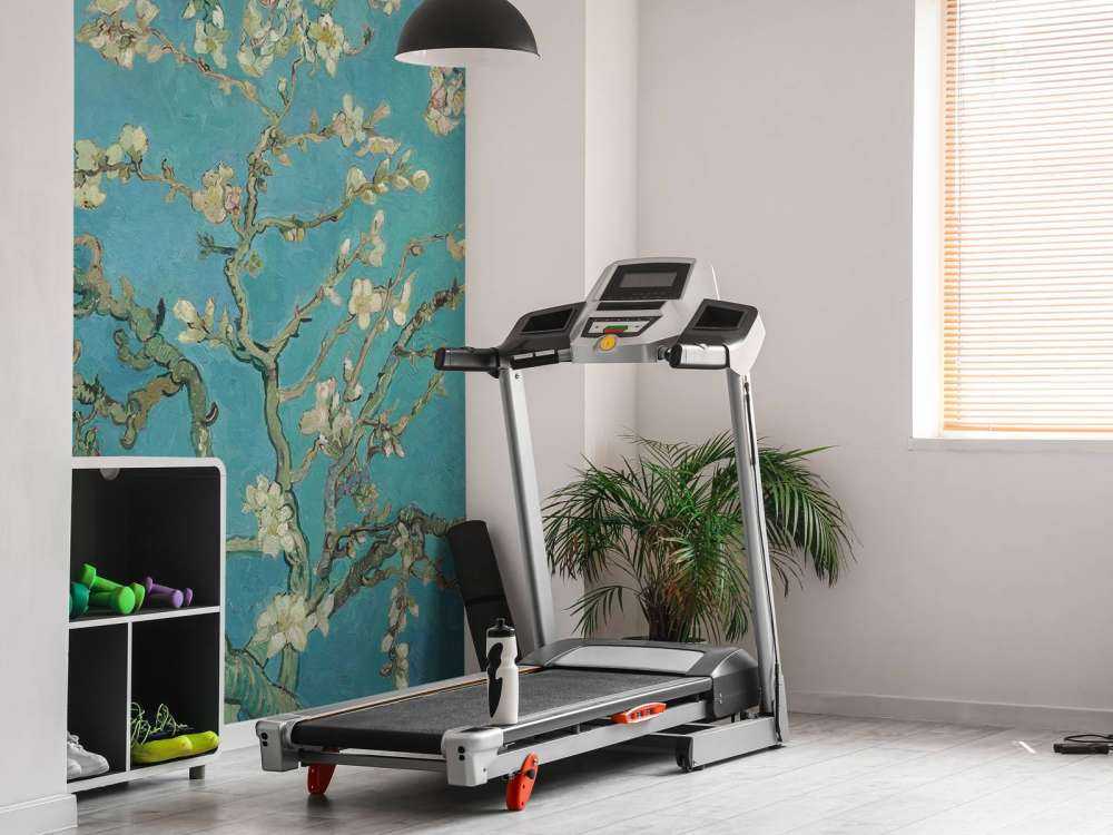 Painted Blossom (Van Gogh)