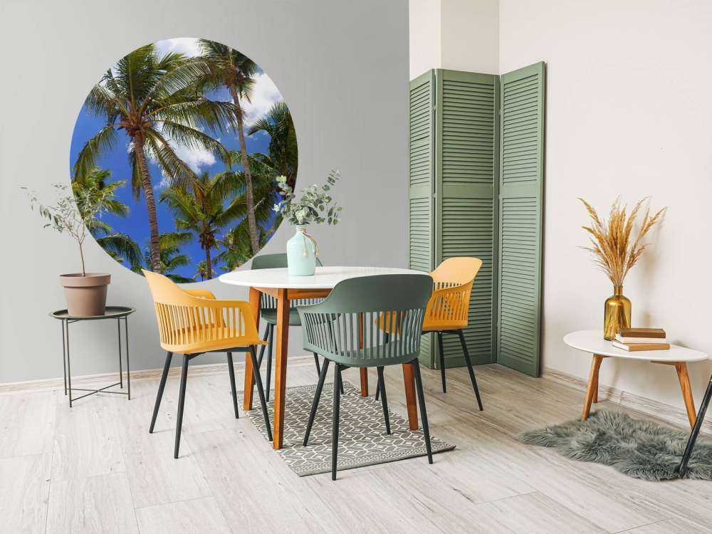 Coconut palm trees