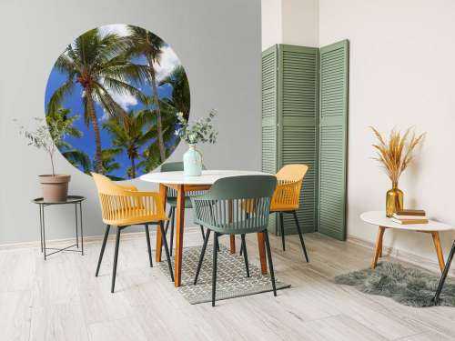 Coconut palm trees