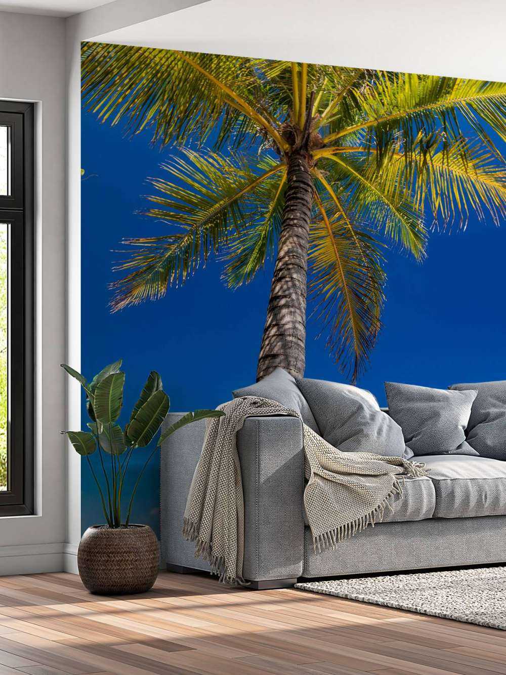 Palm tree in the maldives