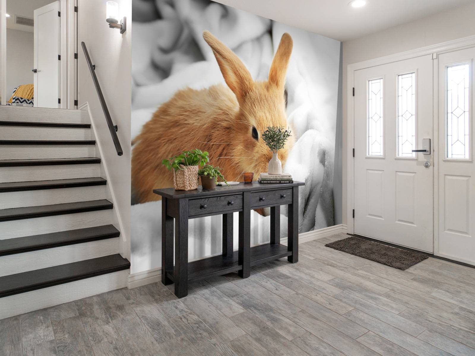 Brown rabbit