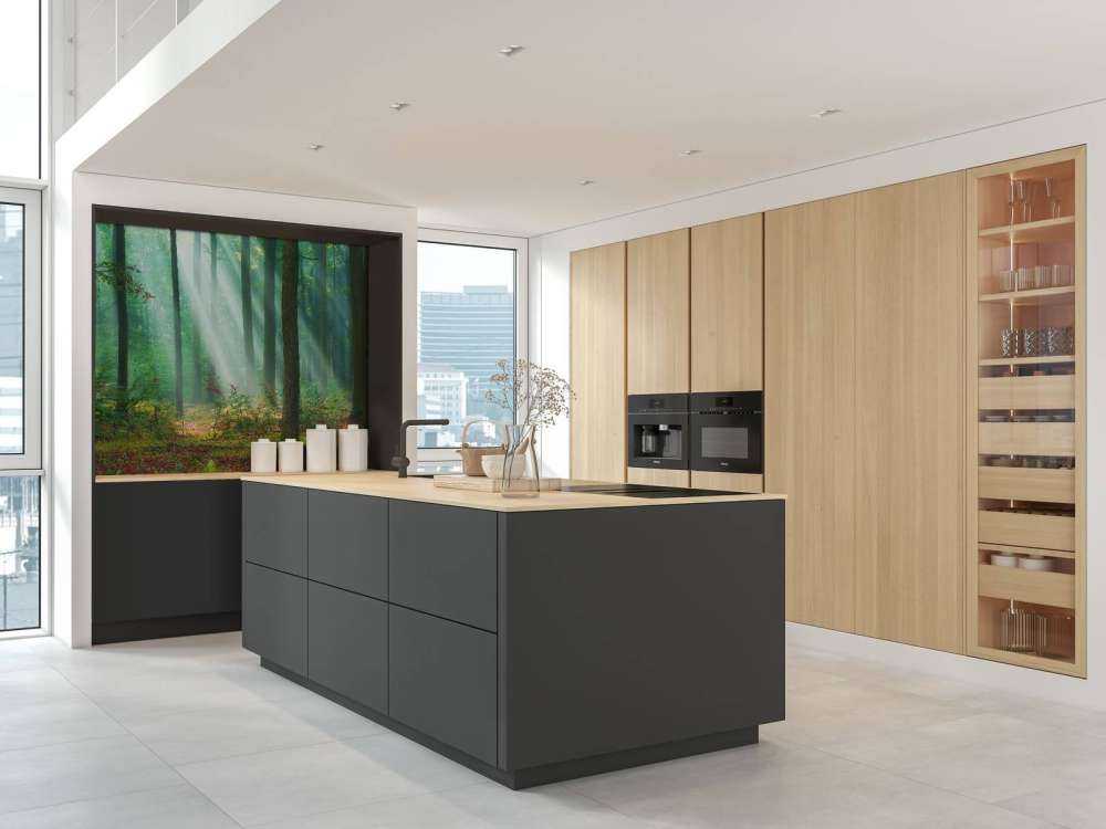 Morning in the woods