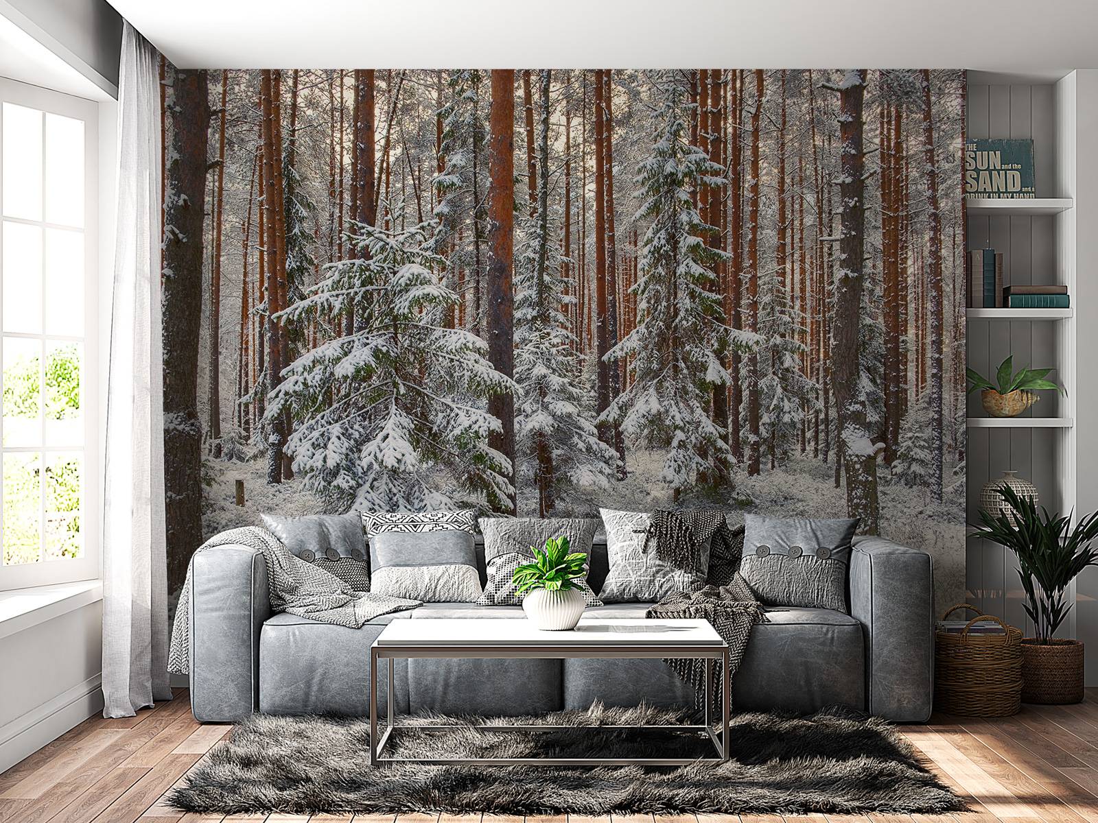 Forest in snow