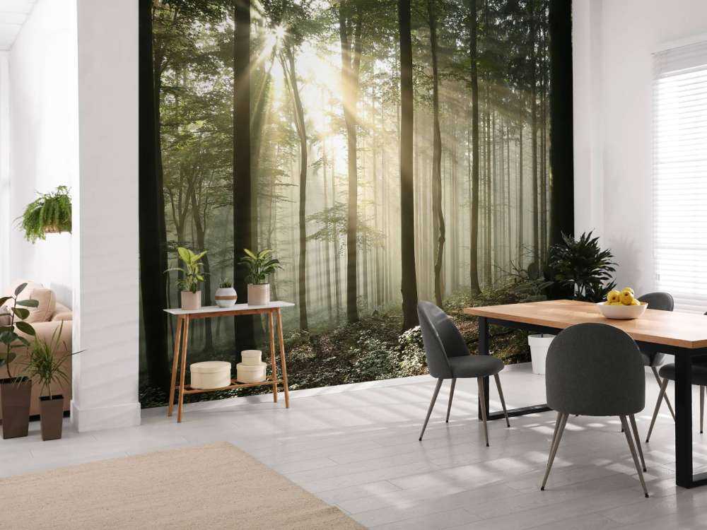 Autumn deciduous forest