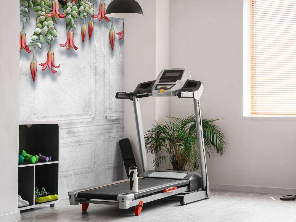 Exotic flowers on concrete