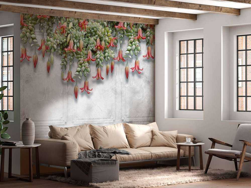 Exotic flowers on concrete