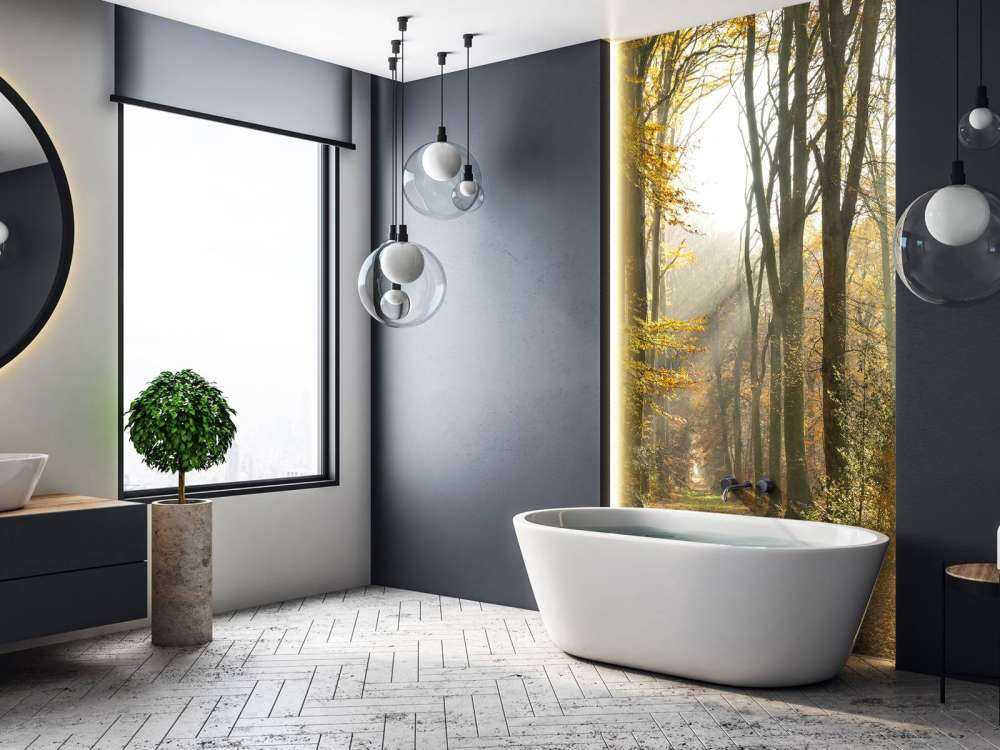 The&#x20;forest&#x20;of&#x20;Cr&#xE9;cy