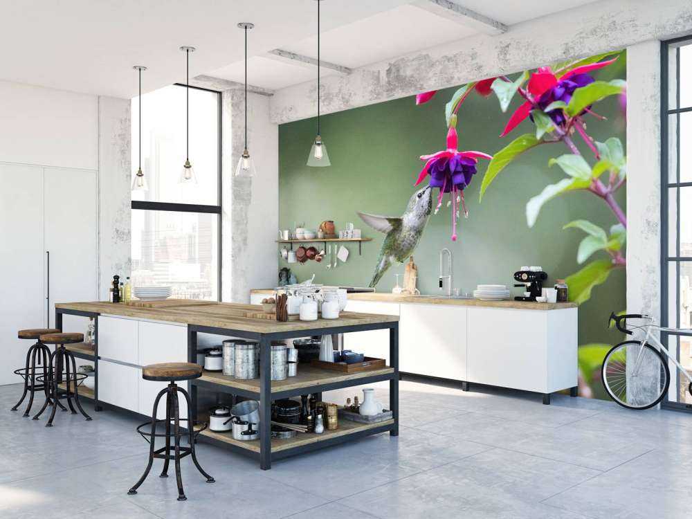 Hummingbird drinking