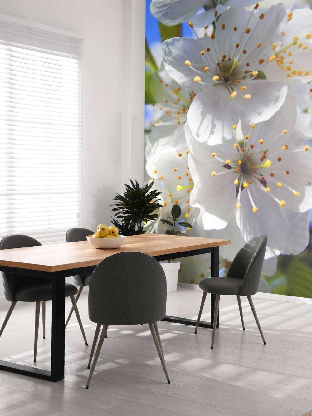 Close-up white blossoms