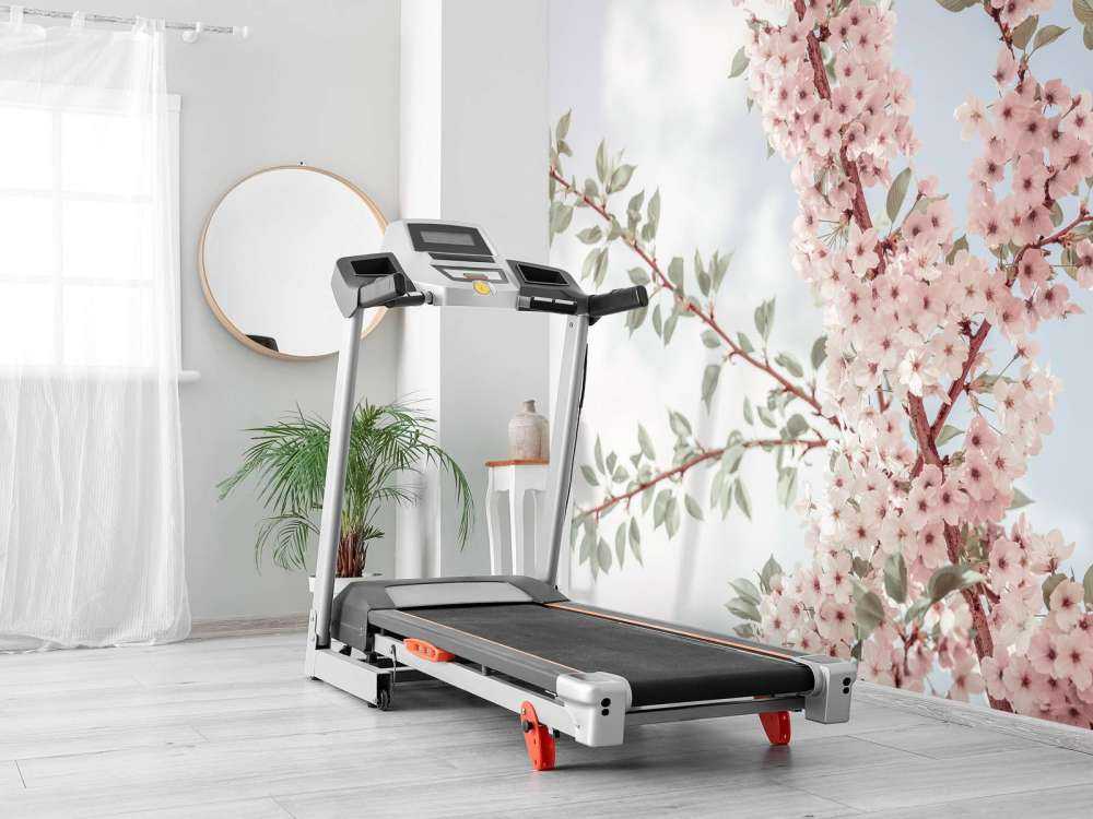 Blossom flowers from below