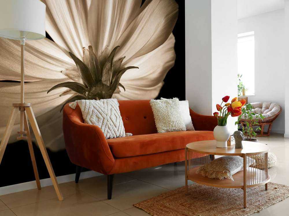 Cosmos flower from below