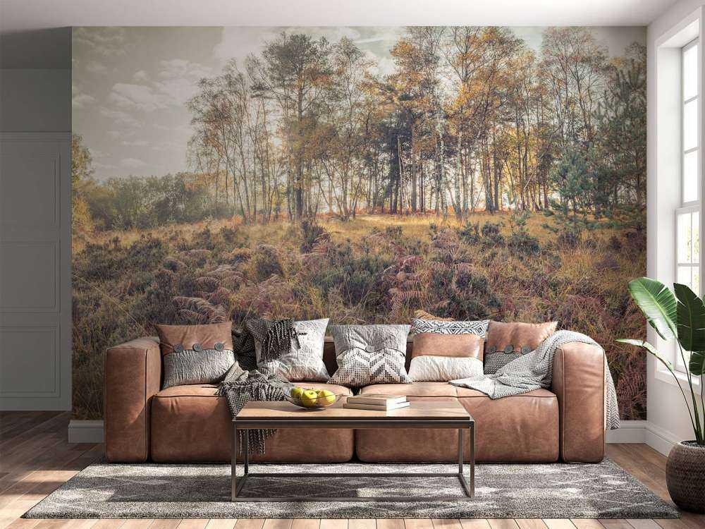 Forest in the morning