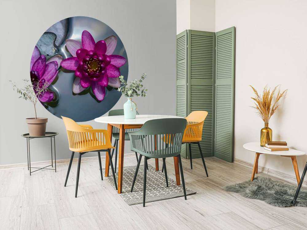 Pink lotus flower in the water